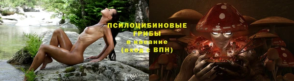 спиды Верея