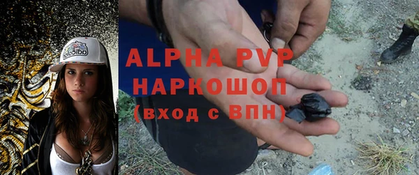 спиды Верея