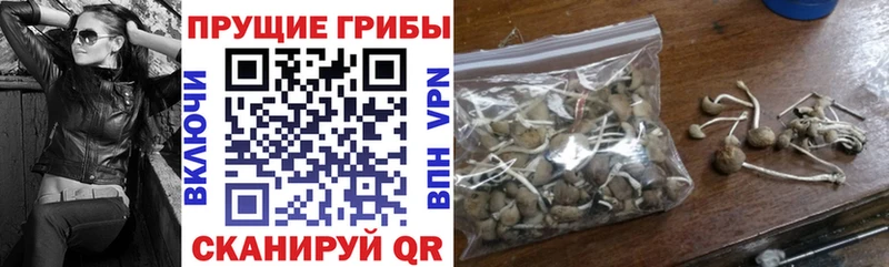 Купить где  Бугуруслан  Псилоцибиновые грибы Magic Shrooms 